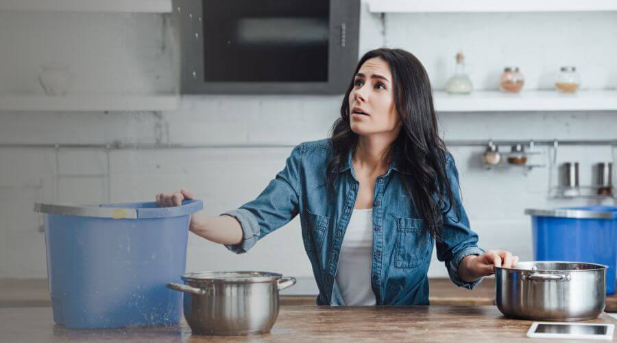 Why choose Visalia Mold Specialist for mold removal in Visalia, CA
